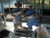 (07/23/2016) - Nice Striped Bass